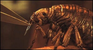 The flea is affixed with a poison barb that turns the person homicidal when released.